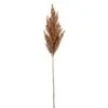 32″ Millet Grass Spray Sienna