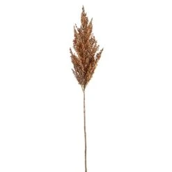 32″ Millet Grass Spray Sienna