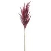36″ Pampas Grass Spray Burgundy