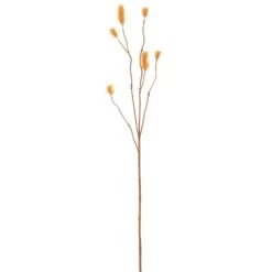29″ Bristle Grass Spray Amber