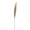 46″ Reed Grass Spray Beige
