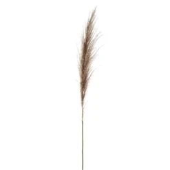 46″ Reed Grass Spray Beige
