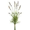 16″ Lavender Bundle Lavender