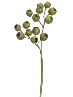 19″ Ecualyptus Pod Spray  Green