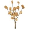 7.8″ Osmanthus Pod Bundle White