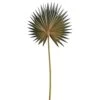 15.5″ Fan Palm Spray Green