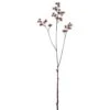 37.5″ Cow Parsley Spray Brown
