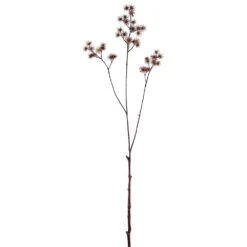 37.5″ Cow Parsley Spray Brown