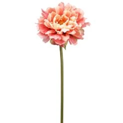 19″ Peony Spray Coral