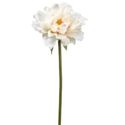 19″ Peony Spray Cream
