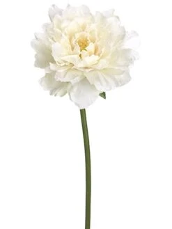 19″ Peony Spray  Cream Blush