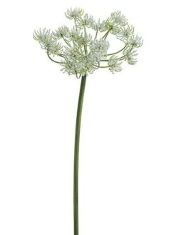 19″ Queen Anne’s Lace Spray  White