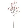 31.5″ Rosehip Spray Flame