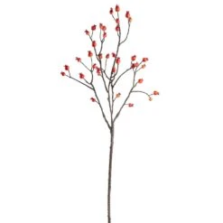31.5″ Rosehip Spray Flame