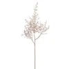 36″ Plastic Seed Spray Beige