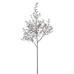 36″ Plastic Seed Spray Dark Brown