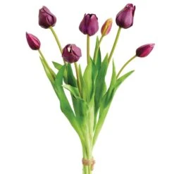 18.5″ Tulip Bundle X7 Plum