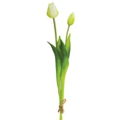 18.5″ Tulip Bundle X2 White