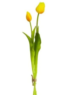 18.5″ Tulip Bundle X2 Yellow