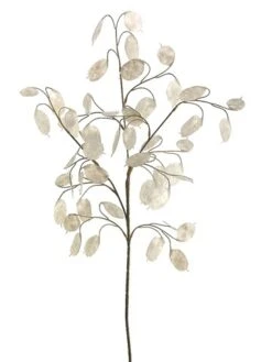 30″ Silver Dollar Spray White