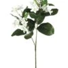 20.5″ Stephanotis Spray X2 White