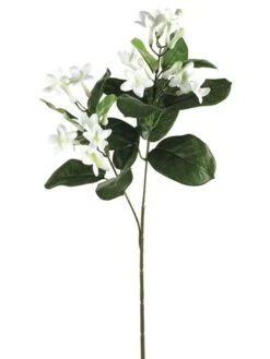 20.5″ Stephanotis Spray X2 White