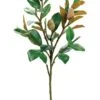 37″ Magnolia Bud Spray X5 Green