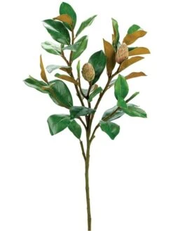 37″ Magnolia Bud Spray X5 Green