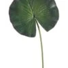 8″Dx24″H Water Lily Leaf Spray  Green