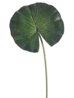 8″Dx24″H Water Lily Leaf Spray  Green
