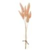 9″ Preserved Foxtail Grass Bundle Pink