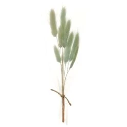 9″ Preserved Foxtail Grass Bundle Seafoam