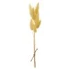9″ Preserved Foxtail Grass Bundle Yellow