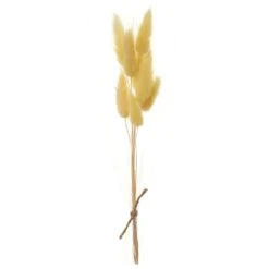 9″ Preserved Foxtail Grass Bundle Yellow