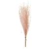 13.7″ Preserved Grass Bundle Pink
