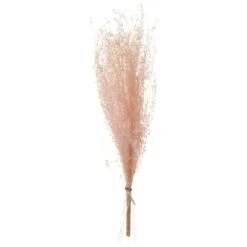 13.7″ Preserved Grass Bundle Pink
