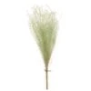 13.7″ Preserved Grass Bundle Seafoam