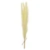 13.7″ Preserved Pampas Grass Bundle Yellow
