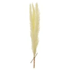 13.7″ Preserved Pampas Grass Bundle Yellow