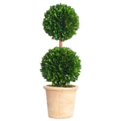 16.5″ Preserved BoxwoodDouble Ball Topiary In ClayPot Green