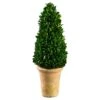 16.5″ Preserved Boxwood Cone Topiary In Clay Pot Green