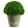 6.3″ Preserved Moss In Clay Pot Green