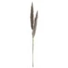 49″ Preserved Pampas Grass Bundle Beige Gray