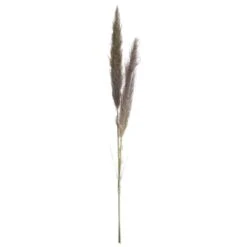 49″ Preserved Pampas Grass Bundle Beige Gray
