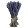 9″ Preserved Lavender Standing Bundle Lavender