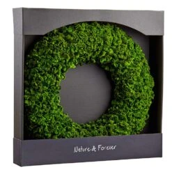 21″ Preserved Celosia Wreath Green
