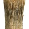 16.9″H X 10″W X 10″L Preserved Wheat/Grass Standing Twig Nature