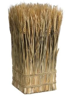 16.9″H X 10″W X 10″L Preserved Wheat/Grass Standing Twig Nature