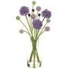 18″ Allium/Billy Button In Glass Vase Purple Lavender
