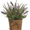 12″ Lavender In Burlap Pot Violet